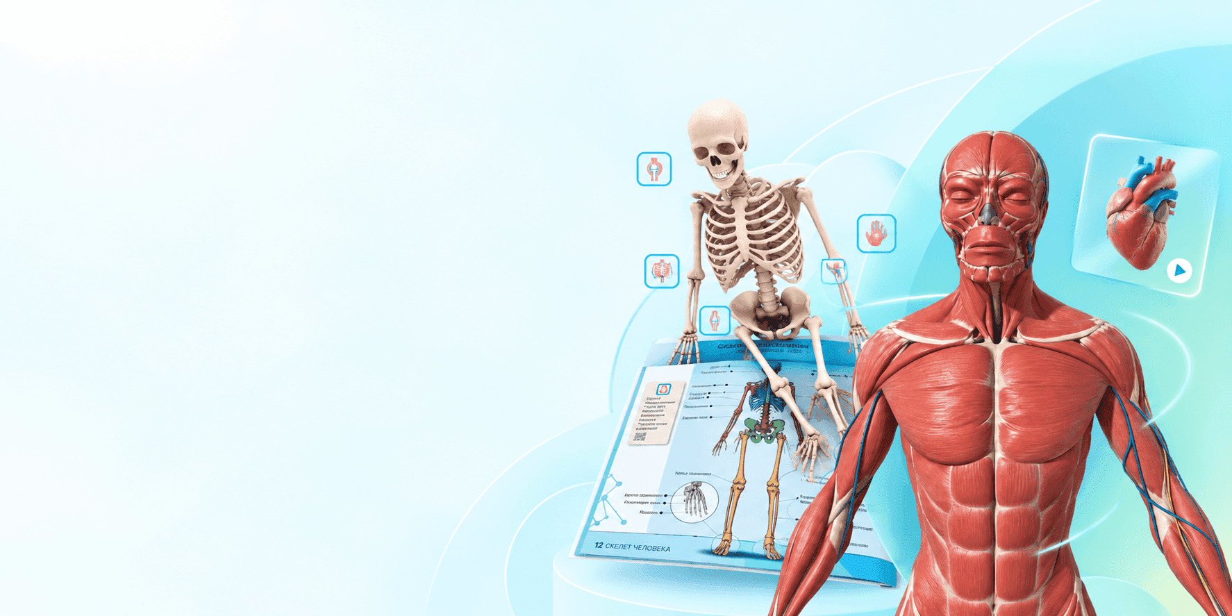 Biology Human Anatomy: AR-платформа для изучения анатомии